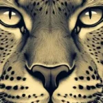 Puma spiritual meaning
